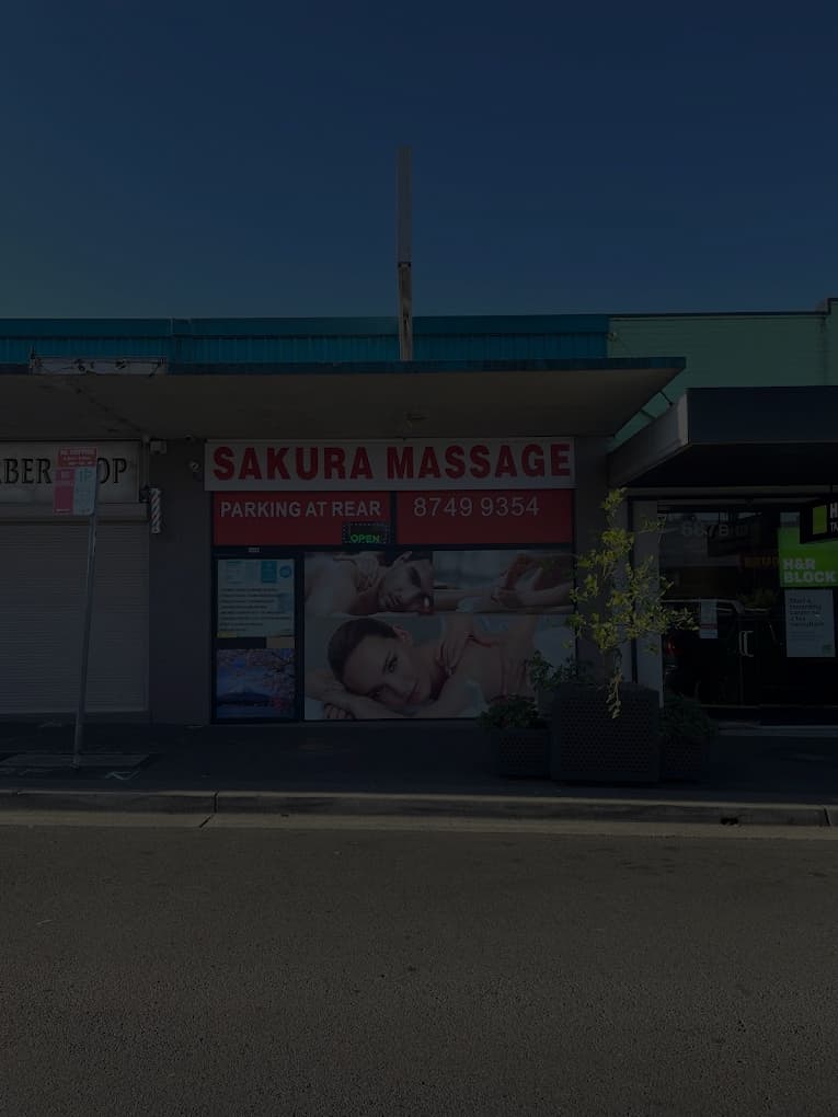 Services We Offer